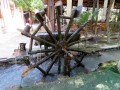 Fabbrica dell\'olio, Samarcanda