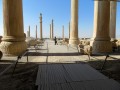 Sito Archeologico di Persepoli