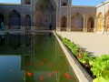 Shiraz, Moschea di Nasir ol Molk