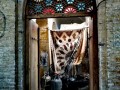 Shiraz