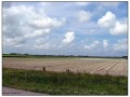 Texel