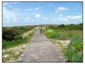 Texel