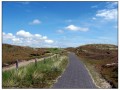 Texel