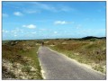 Texel