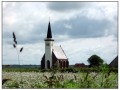 Olanda in bici rotta Nord