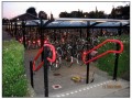 Olanda in bici rotta Nord