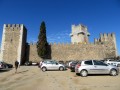 Beja