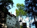 Transilvania - Castello di Bran
