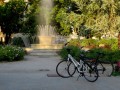 Rovigo