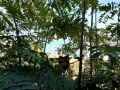 Tropea - Calabria