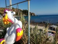 Capo Vaticano - Calabria