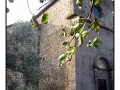 Area Archeologica Madonna dell'Olivo - Tuscania