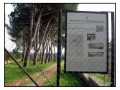 Area Archeologica Madonna dell'Olivo - Tuscania