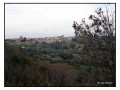 Area Archeologica Madonna dell'Olivo - Tuscania