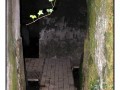 Necropoli di Madonna dell'Olivo - Tuscania