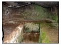 Necropoli di Madonna dell'Olivo - Tuscania