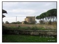 Necropoli di Madonna dell'Olivo - Tuscania