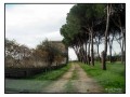 Necropoli di Madonna dell'Olivo - Tuscania