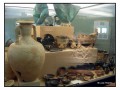 Museo Archeologico - Tuscania