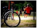 ...sulla ciclabile del Danubio