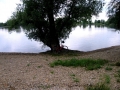 Pedalando sul Danubio