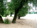 Pedalando sul Danubio